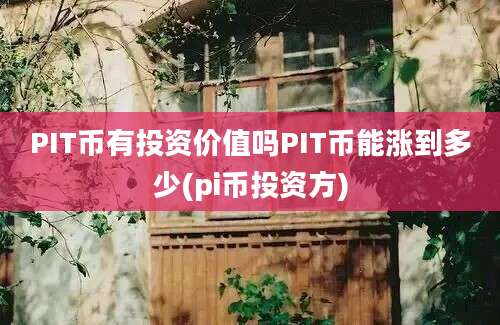 PIT币有投资价值吗PIT币能涨到多少(pi币投资方)