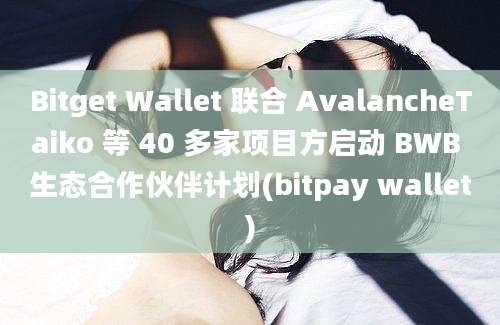 Bitget Wallet 联合 AvalancheTaiko 等 40 多家项目方启动 BWB 生态合作伙伴计划(bitpay wallet)