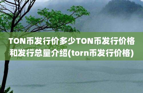 TON币发行价多少TON币发行价格和发行总量介绍(torn币发行价格)