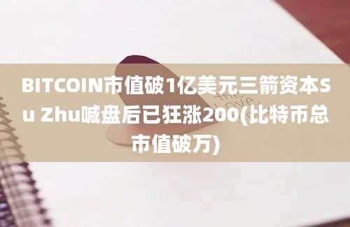 BITCOIN市值破1亿美元三箭资本Su Zhu喊盘后已狂涨200(比特币总市值破万)