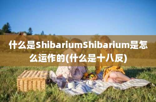 什么是ShibariumShibarium是怎么运作的(什么是十八反)