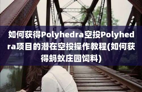 如何获得Polyhedra空投Polyhedra项目的潜在空投操作教程(如何获得蚂蚁庄园饲料)