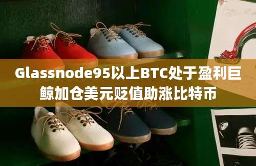 Glassnode95以上BTC处于盈利巨鲸加仓美元贬值助涨比特币