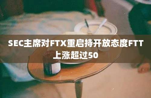 SEC主席对FTX重启持开放态度FTT上涨超过50