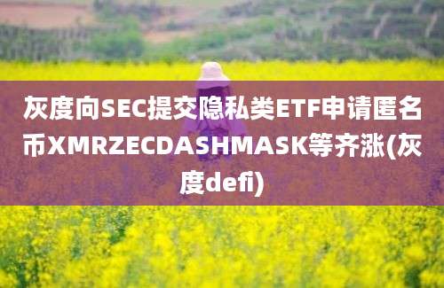 灰度向SEC提交隐私类ETF申请匿名币XMRZECDASHMASK等齐涨(灰度defi)