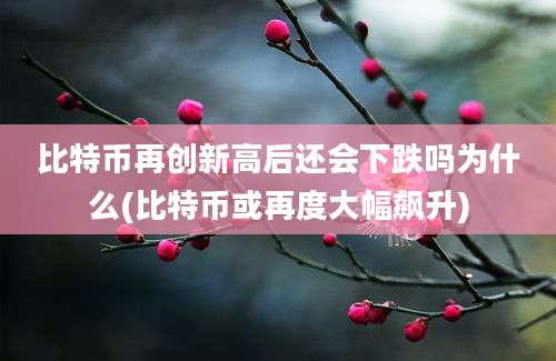 比特币再创新高后还会下跌吗为什么(比特币或再度大幅飙升)