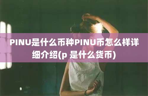 PINU是什么币种PINU币怎么样详细介绍(p 是什么货币)