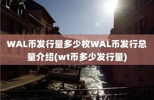 WAL币发行量多少枚WAL币发行总量介绍(wt币多少发行量)