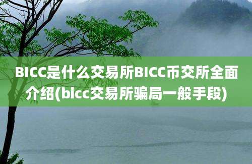 BICC是什么交易所BICC币交所全面介绍(bicc交易所骗局一般手段)