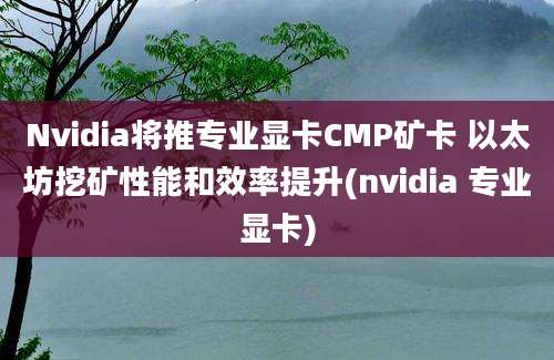 Nvidia将推专业显卡CMP矿卡 以太坊挖矿性能和效率提升(nvidia 专业显卡)