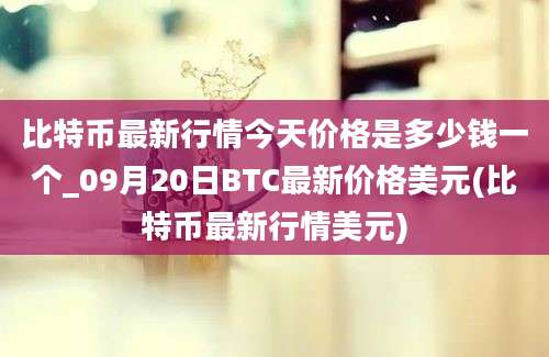 比特币最新行情今天价格是多少钱一个_09月20日BTC最新价格美元(比特币最新行情美元)