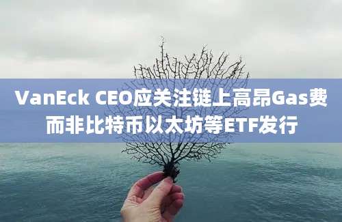 VanEck CEO应关注链上高昂Gas费而非比特币以太坊等ETF发行