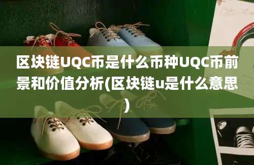 区块链UQC币是什么币种UQC币前景和价值分析(区块链u是什么意思)