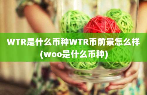 WTR是什么币种WTR币前景怎么样(woo是什么币种)