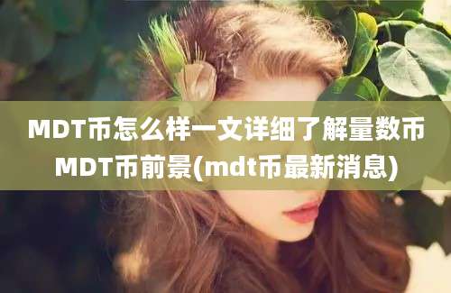 MDT币怎么样一文详细了解量数币MDT币前景(mdt币最新消息)