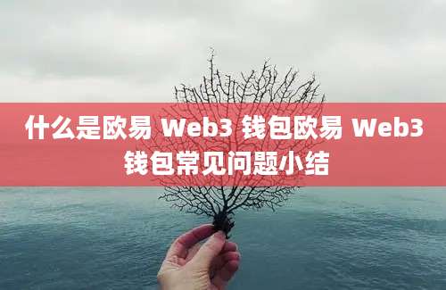 什么是欧易 Web3 钱包欧易 Web3 钱包常见问题小结