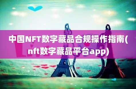 中国NFT数字藏品合规操作指南(nft数字藏品平台app)