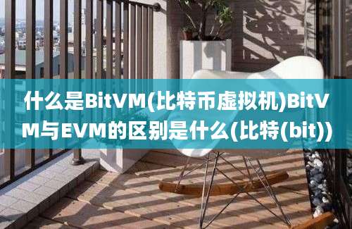 什么是BitVM(比特币虚拟机)BitVM与EVM的区别是什么(比特(bit))