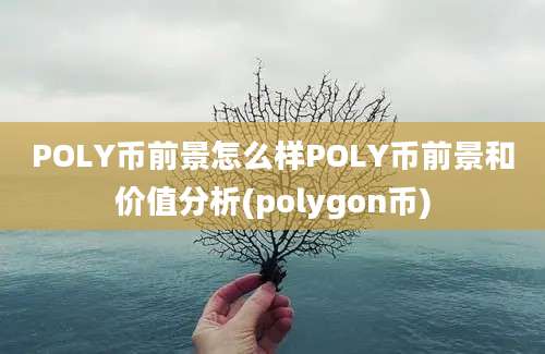 POLY币前景怎么样POLY币前景和价值分析(polygon币)