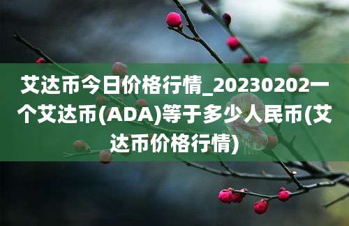 艾达币今日价格行情_20230202一个艾达币(ADA)等于多少人民币(艾达币价格行情)