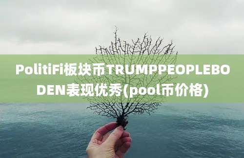 PolitiFi板块币TRUMPPEOPLEBODEN表现优秀(pool币价格)