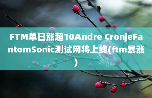 FTM单日涨超10Andre CronjeFantomSonic测试网将上线(ftm暴涨)