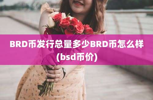 BRD币发行总量多少BRD币怎么样(bsd币价)