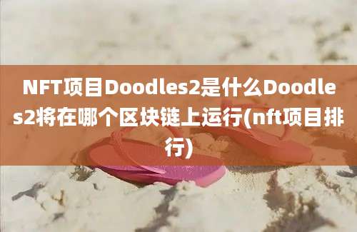 NFT项目Doodles2是什么Doodles2将在哪个区块链上运行(nft项目排行)