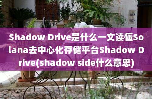 Shadow Drive是什么一文读懂Solana去中心化存储平台Shadow Drive(shadow side什么意思)