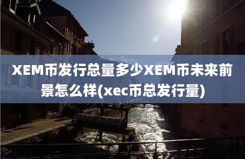 XEM币发行总量多少XEM币未来前景怎么样(xec币总发行量)