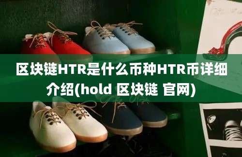 区块链HTR是什么币种HTR币详细介绍(hold 区块链 官网)