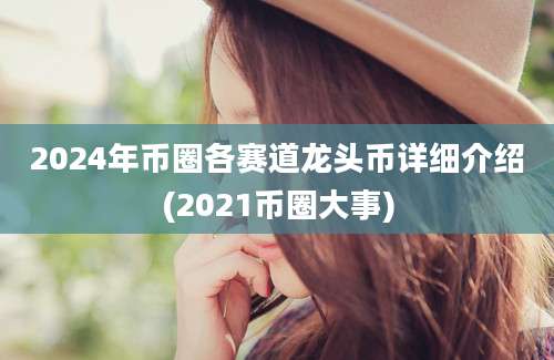 2024年币圈各赛道龙头币详细介绍(2021币圈大事)