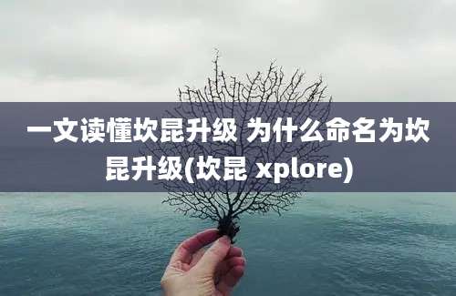 一文读懂坎昆升级 为什么命名为坎昆升级(坎昆 xplore)