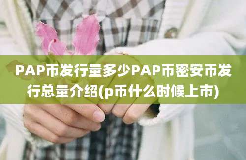 PAP币发行量多少PAP币密安币发行总量介绍(p币什么时候上市)