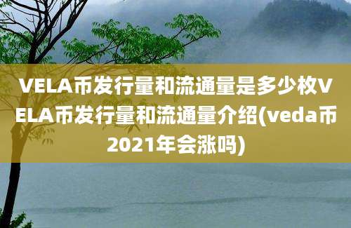 VELA币发行量和流通量是多少枚VELA币发行量和流通量介绍(veda币2021年会涨吗)