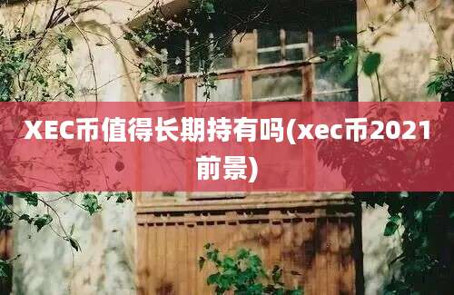 XEC币值得长期持有吗(xec币2021前景)