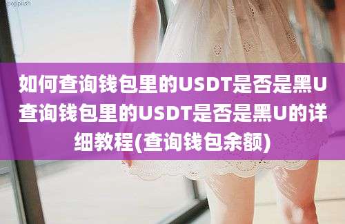 如何查询钱包里的USDT是否是黑U查询钱包里的USDT是否是黑U的详细教程(查询钱包余额)