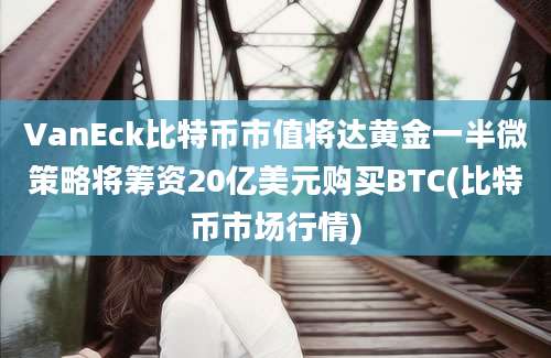 VanEck比特币市值将达黄金一半微策略将筹资20亿美元购买BTC(比特币市场行情)