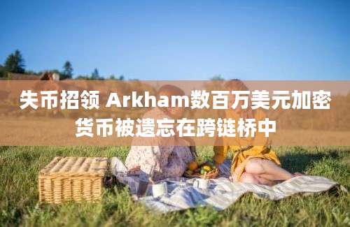 失币招领 Arkham数百万美元加密货币被遗忘在跨链桥中