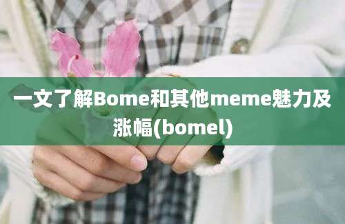 一文了解Bome和其他meme魅力及涨幅(bomel)