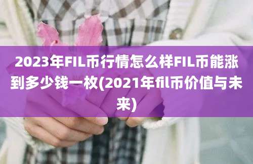 2023年FIL币行情怎么样FIL币能涨到多少钱一枚(2021年fil币价值与未来)