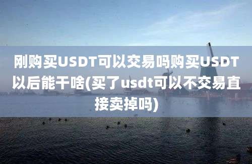 刚购买USDT可以交易吗购买USDT以后能干啥(买了usdt可以不交易直接卖掉吗)