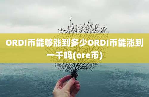 ORDI币能够涨到多少ORDI币能涨到一千吗(ore币)