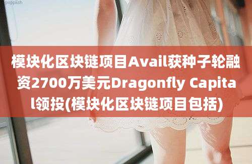 模块化区块链项目Avail获种子轮融资2700万美元Dragonfly Capital领投(模块化区块链项目包括)