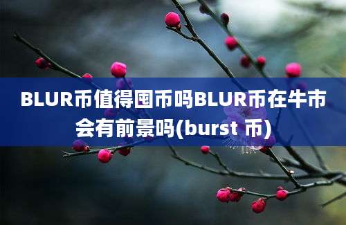 BLUR币值得囤币吗BLUR币在牛市会有前景吗(burst 币)