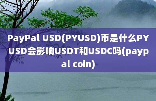 PayPal USD(PYUSD)币是什么PYUSD会影响USDT和USDC吗(paypal coin)