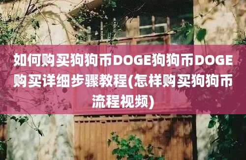 如何购买狗狗币DOGE狗狗币DOGE购买详细步骤教程(怎样购买狗狗币流程视频)