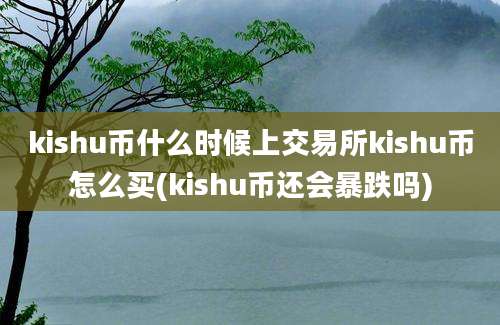 kishu币什么时候上交易所kishu币怎么买(kishu币还会暴跌吗)