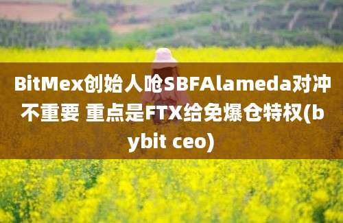 BitMex创始人呛SBFAlameda对冲不重要 重点是FTX给免爆仓特权(bybit ceo)