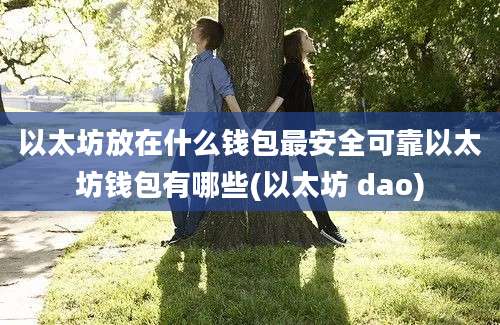 以太坊放在什么钱包最安全可靠以太坊钱包有哪些(以太坊 dao)